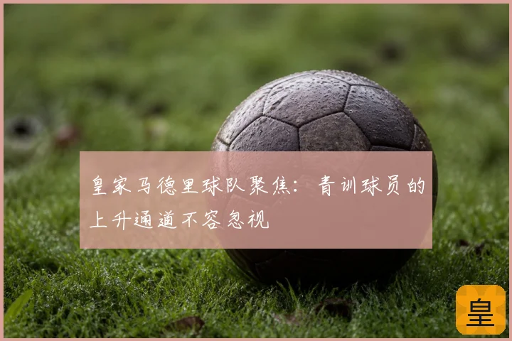皇家马德里球队聚焦：青训球员的上升通道不容忽视